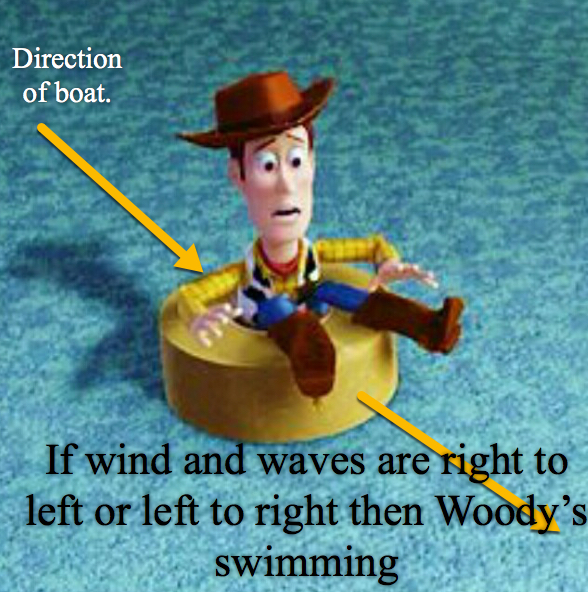 Woody swims.jpg