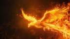 phoenixG's Avatar