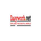 easyworknet's Avatar