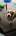 cwindow89's Avatar